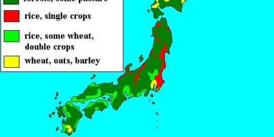 Mapa japonska lesy